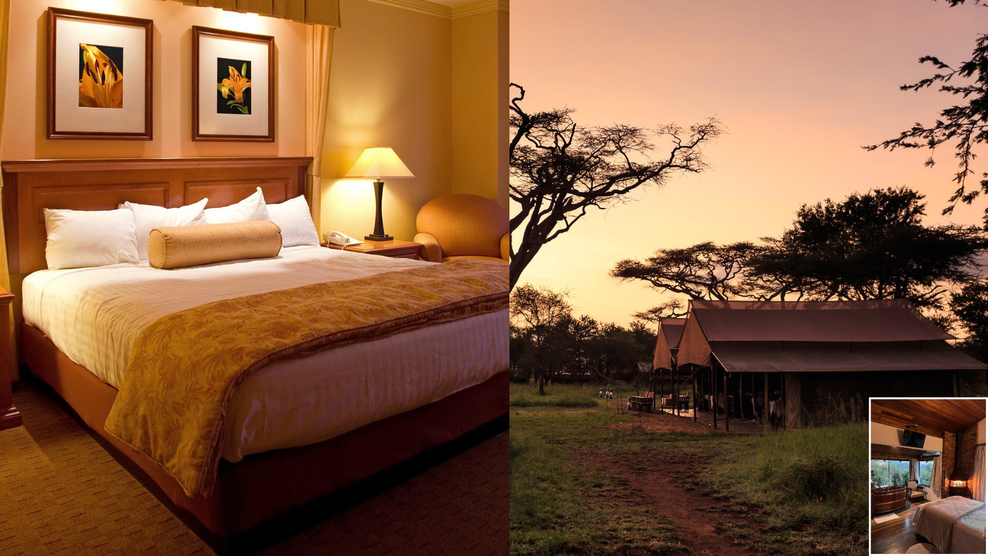 Hotels & Lodges